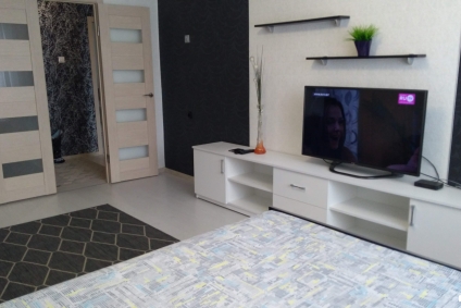 1,2,3 к/кв в любом р-не. Часы/сутки. Нал/безнал.