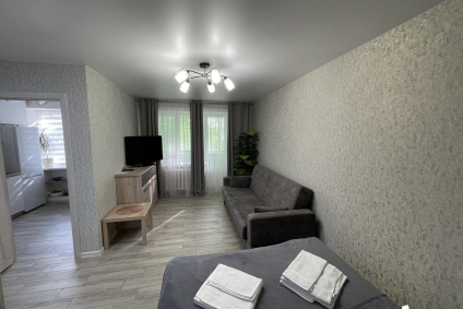 Уютная квартира на сутки в центре города.